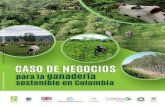 para la ganadería sostenible en Colombia...Medio Ambiente y Desarrollo Sostenible (MADS) y el Ministerio de Agricultura y Desarrollo Rural (MADR). La ganadería representa el renglón