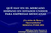 QUÉ HAY EN EL MERCADO HISPANO EN ESTADOS UNIDOS PARA EMPRESAS MEXICANAS · 2012. 8. 22. · QUÉ HAY EN EL MERCADO HISPANO EN ESTADOS UNIDOS PARA EMPRESAS MEXICANAS ¡Un nicho de