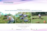 TerriTorios de aprendizaje sistema agroecológico integrado …americalatina.procasur.org/images/2015/pdf_territo/...las estrategias mediante las cuales han resuelto la integración