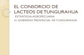 EL CONSORCIO DE LACTEOS DE TUNGURAHUArimisp.org/wp-content/uploads/2013/02/35.pdfCONSORCIO DE LACTEOS DE TUNGURAHUA Dentro de los planes agropecuarios cantonales en las que se basa