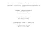 Trabajo De Grado Modalidad Residencia En Línea Para Optar Por El …repositorio.ucp.edu.co/bitstream/10785/5176/1/DDMGDR20.pdf · 2019. 3. 5. · hacia el desarrollo (Czerny, 2008).