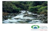 Estrategia Nacional de Recursos Hídricos 2012 2025 - MOP · 2013. 7. 31. · del recurso, así como en la promoción de nuevas alternativas de fuentes de agua y el cuidado del medio