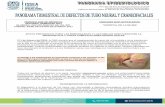CONTROL DE REPORTE PERIODO QUE SE REPORTA: ELABORA ... Epidemiologia/DTNC/PAN… · El 1 de febrero del 2016, la OMS anuncio que el conglomerado de casos de microcefalia y otros transtronos