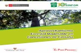 Aprovechamiento Forestal Maderable en Concesiones de Castaña · 2018. 7. 23. · Francklin Omar Cuba Jiménez Mónica Diana Chávez Cotaquispe Responsables de la edición: David