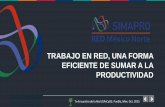 TRABAJO EN RED, UNA FORMA EFICIENTE DE SUMAR A LA ... · Propósito de la Red La Red tiene como propósito impulsar la competitividad en su región, a través de mejorar la productividad