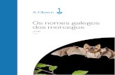 Os nomes galegos dos morcegos - A Chave · 2020. 4. 24. · morcegos, onde se apunta, de maneira xeral, os nomes dos morcegos que hai en cada familia. A seguir vén o corpo do documento,