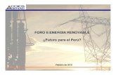 FORO II:ENERGIA RENOVABLE ¿Futuro para el Perú? · 2010. 2. 10. · 0.09 0.07 0.05 0.03 0.02 0.01 Scrubbed Coal Natural Gas CC Wind c] O&M cost fuel cost a capital cost Wind with