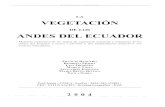 LA VEGETACION ANDESDELECUADOR · '-"-1 Vegetación Renunwnn-JI' los A/ldt',~ dd Ecuador LA, VEGETACION DE LOS ANDESDELECUADOR Memoria explicativa de los mapas de vegetación potencial
