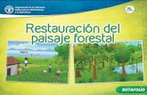 Rotafolio: Restauración del paisaje forestal · paisaje forestal inab nacianacáè bosques/ rotafouo ¿quÉ restauraciÓn del paisaje forestal? ¿cuÁles son los principios de la