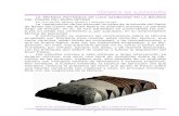 03 Técnica de ejecución · Memoria de la restauración realizada en las pinturas murales de Luca Giordano en el Casón del Buen Retiro 3 TÉCNICA DE EJECUCIÓN Partiendo de este