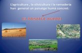 L’agricultura , la silvicultura i la ramaderia han generat un paisatge … 2011. 8. 4. · paisatge agrari Factors físics: •el relleu •el sòl •la xarxa hidrogràfica Factors