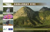 GARAJONAY VIVE P · 2018. 12. 4. · la importancia de su bosque de laurisilva. En 1986, la UNESCO lo incluyó en la lista de bienes naturales del Patrimonio de la Humanidad. El bosque