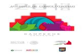 campeche - Secretaría de Turismo | Gobierno | gob.mxsectur.gob.mx/wp-content/uploads/2015/02/PDF-Campeche.pdfsituación y de emprender un programa de acciones, en coordinación estrecha