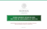INDICADORES BÁSICOS DEL SECTOR DE DESARROLLO SOCIAL · 2019. 5. 14. · IV.- Indicadores de desarrollo •Indice de Desarrollo Humano (IDH) •Coeficiente de Gini •Grado de marginación