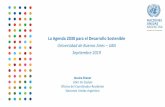 La Agenda 2030 para el Desarrollo Sostenible Universidad de … · 2019. 10. 2. · • Las alianzas entre el gobierno, el sector privado y la sociedad civil deben fortalecerse para