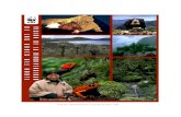 Vision de la Biodiversidad de los Andes del Norte · 2020. 5. 29. · INTRODUCCIÓN AL COMPLEJO ECORREGIONAL DE LOS ANDES DEL NORTE Y A LA CONSERVACIÓN ECORREGIONAL La región andina