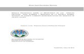 Elmer Saúl Hernández Ramírez - Universidad de San ...biblioteca.usac.edu.gt/EPS/07/07_2970.pdf · 3.3 Aporte Pedagógico 3.4 Plan de sostenibilidad del aporte pedagógico 3.5 Descripción