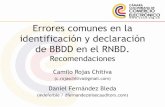 Errores comunes en la identificación y declaración de BBDD en el … · 2019. 3. 12. · Errores comunes en la identificación y declaración de BBDD en el RNBD. Recomendaciones