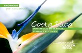 Costa Rica - PROCOMER...2020/02/05  · 5 Caleidoscopio floral Costa Rica, es un país pequeño que aunque representa tan solo el 0,03% de la superﬁcie mundial, es considerado uno