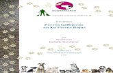 ESTE EPISODIO Perros Callejeros en los Países Bajosdoctordog.nl/DR_Espanol_PerrosCallejeros[1].pdf · de perros callejeros. Los Países Bajos tuvieron la posibilidad de reducir el