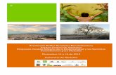 boletin seminario feb 1 2013 · 2013. 2. 12. · En su segunda conferencia: Los servicios ecosistémicos en la Política Nacional Gestión Integral Biodiversidad y Servicios Ecosistémicos,