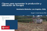 Claves para aumentar la producción y utilización de forrajes€¦ · Claves para aumentar la producción y utilización de forrajes Seminario Bioleche, Los Angeles, Chile ... La