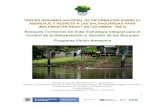 Bosques Territorios de Vida: Estrategia Integral para el Control de … · 2020. 8. 25. · Control de la Deforestación y Gestión de los Bosques Programa Visión Amazonia Período