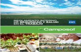 reglamento interno 210x140cm final curvascamposol.com.pe/wp-content/uploads/2019/01/safety-regulations.pdf · CAMPOSOL es la empresa agroindustrial líder en el Perú, la mayor exportadora