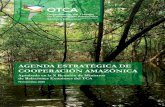 AGENDA ESTRATÉGICA DE COOPERACIÓN AMAZÓNICA...14 15 A partir de los insumos mencionados se identificaron las siguientes visiones y misión: a. Visión de la Región Amazónica.