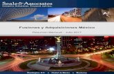 Fusiones y Adquisiciones Méxicomnamexico.com/wp-content/uploads/2017/08/Julio-2017-1.pdf · fusiones yadquisiciones domésticas transfronterizas, tareas de finanzas corporativas,
