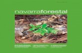 Navarra forestal 42 OK:N.FORESTAL 14 - Asociación Forestal … · entrevista KOLDO CILVETIK, NAFARROAKO ALMADIAZAINEN KULTUR ELKARTEKO PRESIDENTEAK, KULTUR TALDEAREN HELBURU NAGUSIA