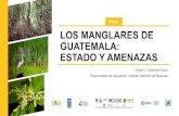 Tema LOS MANGLARES DE GUATEMALA: ESTADO Y AMENAZAS · Desafíos y Oportunidades para la gestión de los Manglares en Guatemala Fortalecer la resiliencia de los bosques ante los efectos