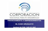 FINANCIAMIENTO A EMPRENDIMIENTOS EL CASO URUGUAYO...Apoyo integral a la empresarialidad dinámica FIN: Promover una cultura emprendedora de alto valor agregado que contribuya a la
