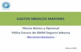 GASTOS MEDICOS MAYORES - jubiladostelmexnorte.com...Asociación de Jubilados de Confianza de Teléfonos de México, Capítulo Monterrey, A. C. PLAN OPCIONAL Tipo de Plan Reembolso