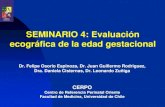 SEMINARIO 4: Evaluación ecográfica de la edad gestacionalSEMINARIO 4: Evaluación ecográfica de la edad gestacional Dr. Felipe Osorio Espinoza, Dr. Juan Guillermo Rodriguez, Dra.