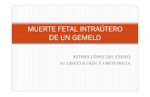 MUERTE FETAL INTRAÚTERO DE UN GEMELO...una muerte fetal intraútero durante la gestación”. Cleary-Goldman, MD. Manegement of single fetal demise in a multiple gestation. Obstetrical