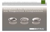 15 Inversiones en Negocios Conjuntos 2013 - WordPress.com · 15.06.2016  · Fundación IFRS: Material de formación sobre la NIIF para las PYMES (versión 2013-1) 1 las PYMES Inversiones