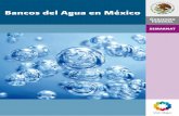 Bancos del Agua en México · 2017. 2. 22. · Conagua •Transmisión de títulos (Deﬁnitiva, total o parcial) Artículo 33 Conagua •Estabelecimiento de “Bancos del Agua”