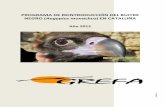 PROGRAMA DE REINTRODUCCIÓN DEL BUITRE NEGRO ( …rapaces.lpo.fr/sites/default/files/vautour-moine/... · motivos en CRFS (Centros de Recuperación de Fauna Salvaje) y liberados tras
