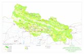 FORMACIONES HERBACEAS - Junta de Andalucía · JUNTA DE ANDALUCIA Huelva Fuente: Red de informacion Ambiental de Andalucia Direccion General de Planificacion VEGETACION DEL PARQUE