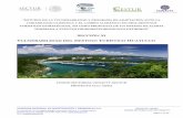 Secretaría de Turismo | Gobierno | gob.mx - “ESTUDIO DE LA …sectur.gob.mx/wp-content/uploads/2014/09/SECCION-XI... · 2014. 9. 17. · Topografía de las playas Santa Cruz y