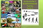 EVOLUCIÓN Y BIODIVERSIDAD Teorías Parte 1 · BIODIVERSIDAD Y EVOLUCIÓN La biodiversidad El término solo hacía referencia al número de especies presentes en un área geográfica.