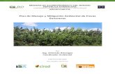 Plan de Manejo y Mitigación Ambiental de Fincas Bananerassiba.org.do/wp-content/uploads/productos_finales/Medio... · 2019. 6. 12. · Plan de Manejo y Mitigación Ambiental de Fincas