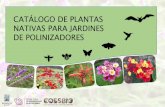 Presentación de PowerPointbiodiversidad.morelos.gob.mx/sites/biodiversidad.morelos.gob.mx/fil… · Polinizadores Los polinizadores como colibríes, mariposas, abejas, abejorros