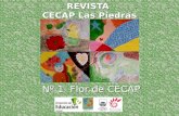 Nº 1 Flor de CECAP - Ingeniería Eléctrica · 2014. 2. 18. · Flor de Ceibo es un programa de la Universidad de la República que apoya al Plan Ceibal. Lo integran docentes y estudiantes