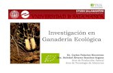 Investigación en Ganadería Ecológica · 2017. 4. 10. · Investigación en Ganadería Ecológica Dr. Carlos Palacios Riocerezo Dra. Soledad Álvarez Sanchez-Argona Area de Producción