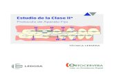 Estudio de la Clase IIª · Estudio de la Clase IIª 6 Protocolo de Aparato Fio ORTOCERVERA Líder en Ortodoncia Digital ARCO 1 - 1ª FASE.014 NÍQUEL-TITANIO TÉRMICO • Arco Superior