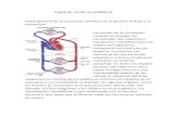 arelyvillaba.files.wordpress.com€¦  · Web viewCapítulo 14 de la unidad IV. Visión general de la circulación; biofísica de la presión, el flujo y la resistencia. La función