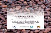 TRANSFORMACIÓN DEL CACAO SILVESTRE · estadísticas y textos relacionados al tema de cacao y de la producción y comercialización de chocolates. Entre los resultados más importantes