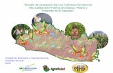 HarvestPlus: América Latina y el Caribe - “Estudio de Aceptación …lac.harvestplus.org/wp-content/uploads/2009/09/Estudio... · 2016. 9. 13. · CONTEXTO HISTÓRICO PARA EVALUAR